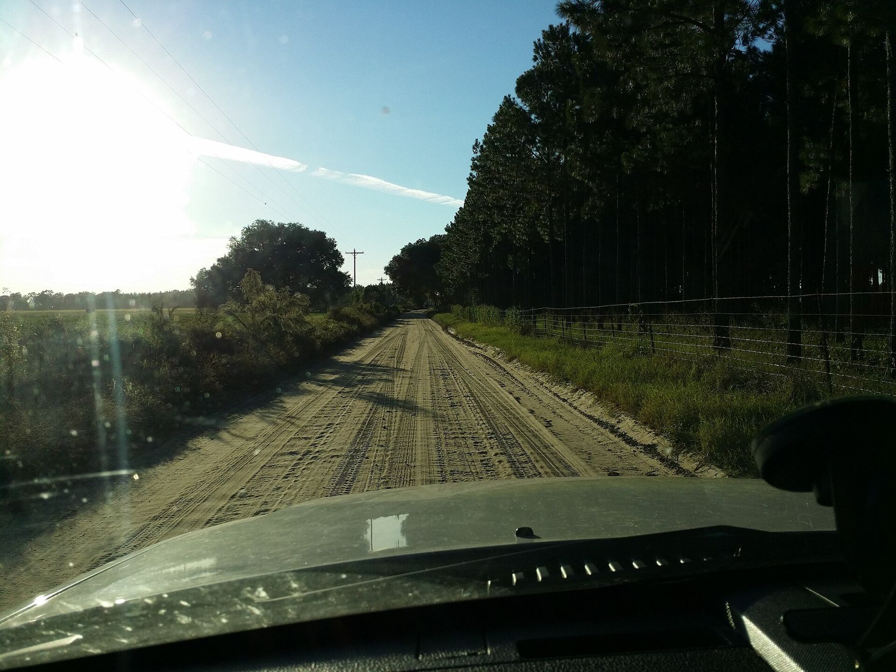 South Georgia field beside a dirt road