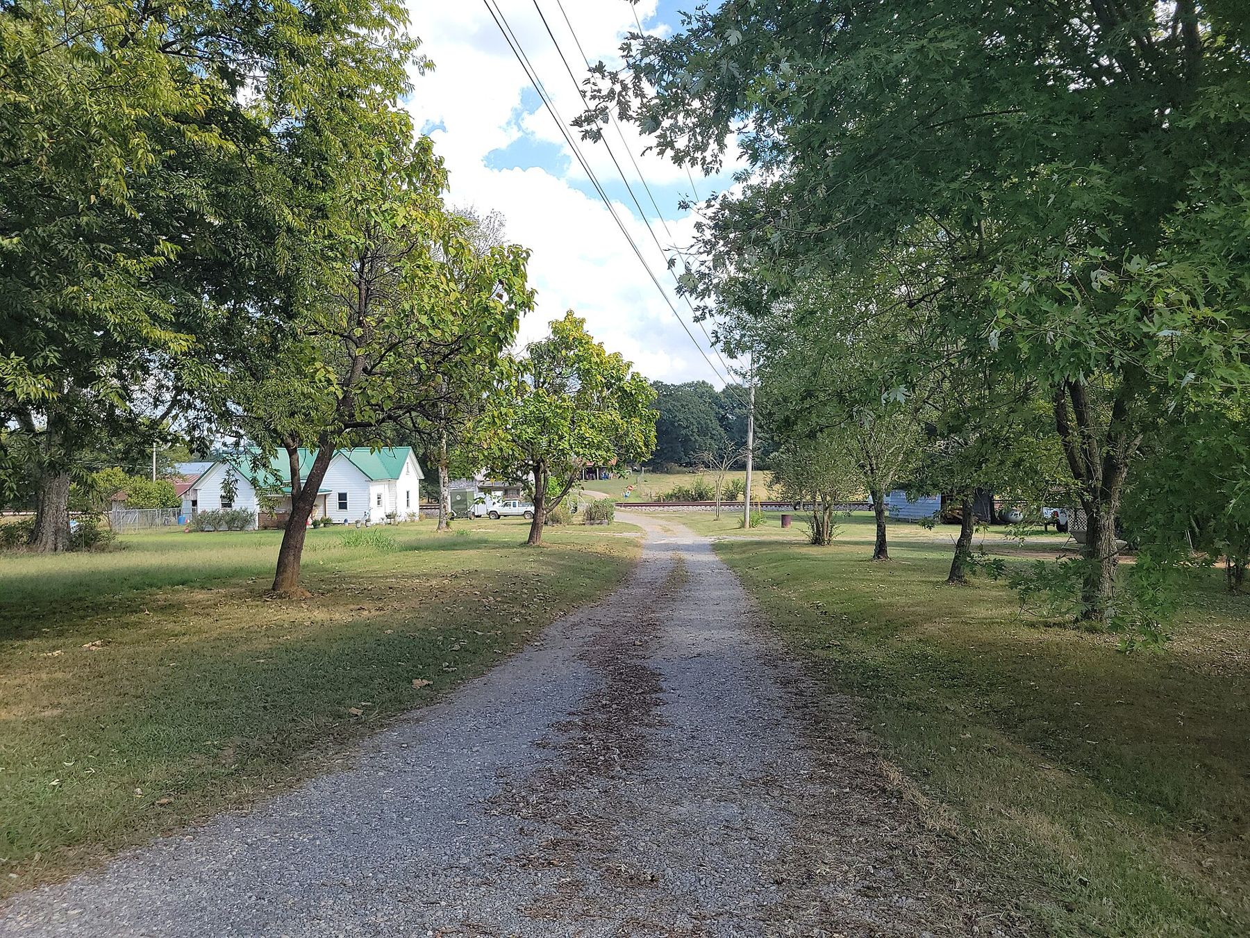 Red dirt road through pines in Georgia